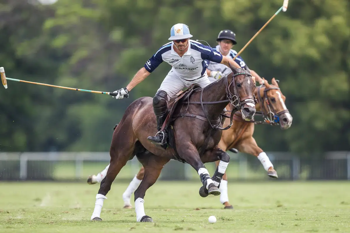 Hannah Montana, the first Argentine Polo horse in the country.